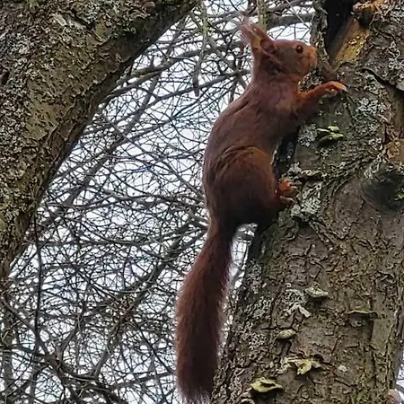 Prázdninový dům Air Pur