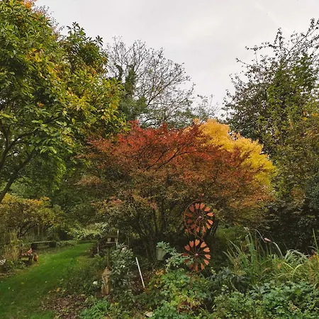 Air Pur Prázdninový dům