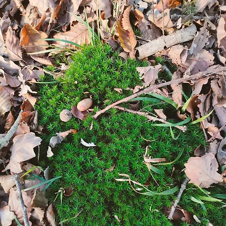 Prázdninový dům Air Pur