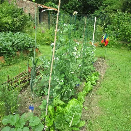 Prázdninový dům Air Pur *